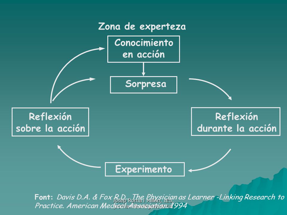 Josep Roma i Millan, IES,