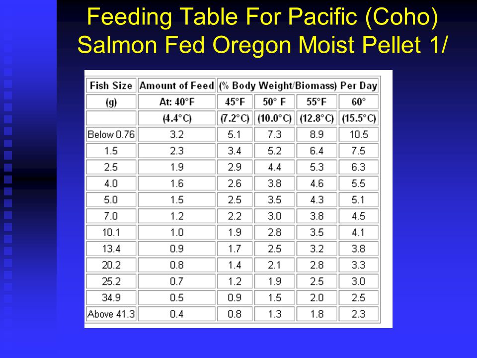 Feeding Table For Pacific (Coho) Salmon Fed Oregon Moist Pellet 1/