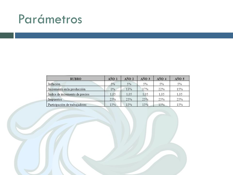 Parámetros RUBRO AÑO 1 AÑO 2 AÑO 3 AÑO 4 AÑO 5 Inflación 5%