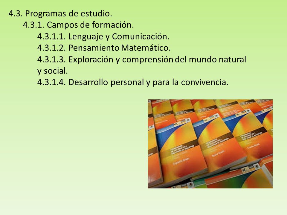 4.3. Programas de estudio Campos de formación Lenguaje y Comunicación Pensamiento Matemático.