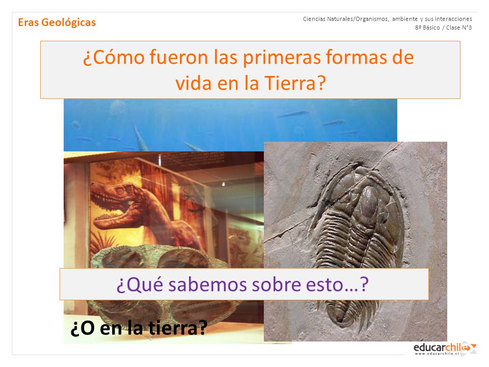 ¿Cómo fueron las primeras formas de vida en la Tierra