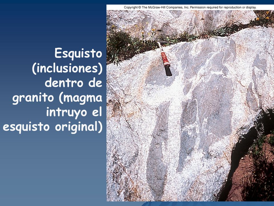 Esquisto (inclusiones) dentro de granito (magma intruyo el esquisto original)