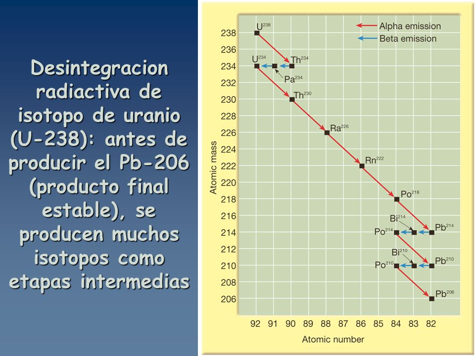 Desintegracion radiactiva de isotopo de uranio (U-238): antes de producir el Pb-206 (producto final estable), se producen muchos isotopos como etapas intermedias