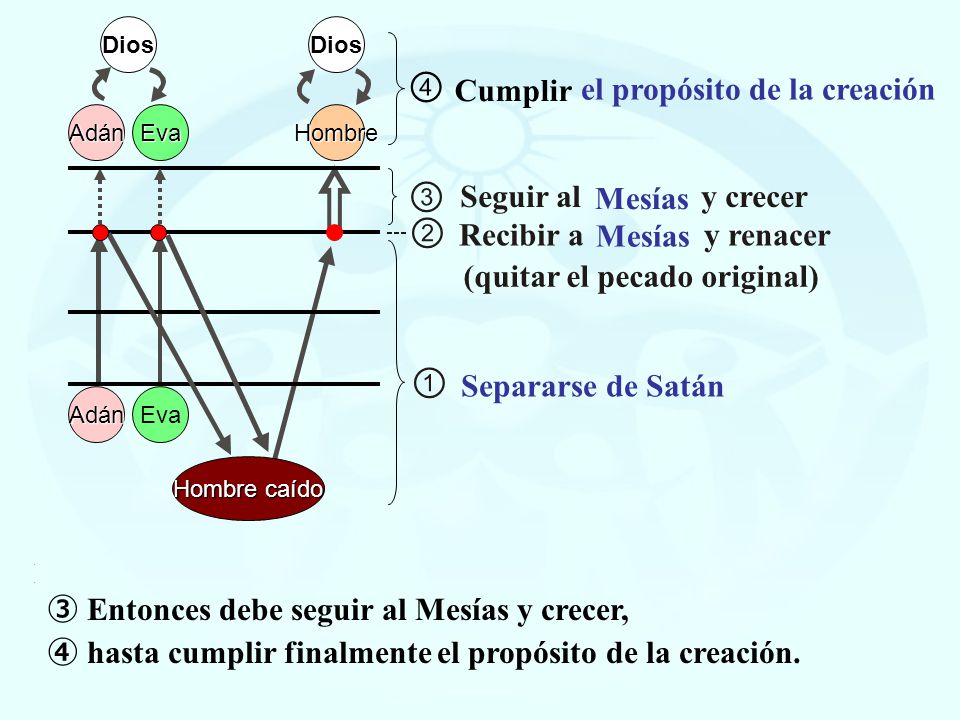 ④ ③ ② ① Cumplir el propósito de la creación Seguir al y crecer Mesías