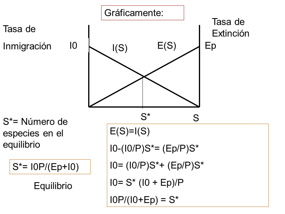 Gráficamente: Tasa de Extinción. Tasa de. Inmigración. I0. E(S) Ep. I(S) S* S. S*= Número de especies en el equilibrio.