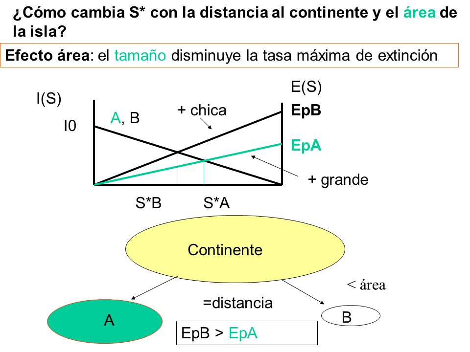 ¿Cómo cambia S* con la distancia al continente y el área de la isla
