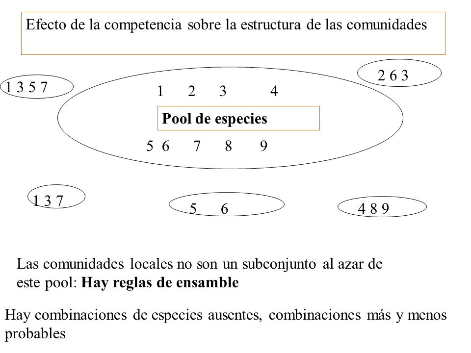 Efecto de la competencia sobre la estructura de las comunidades