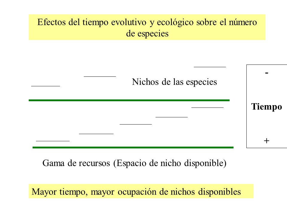 Efectos del tiempo evolutivo y ecológico sobre el número de especies