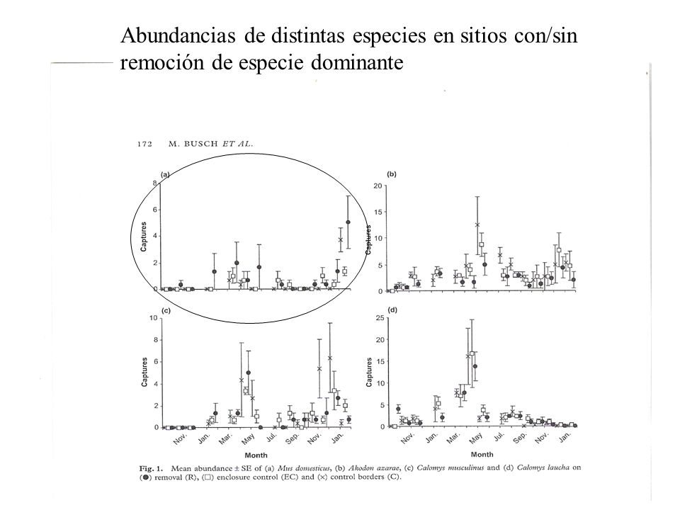 Abundancias de distintas especies en sitios con/sin remoción de especie dominante
