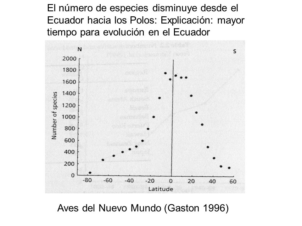 El número de especies disminuye desde el Ecuador hacia los Polos: Explicación: mayor tiempo para evolución en el Ecuador
