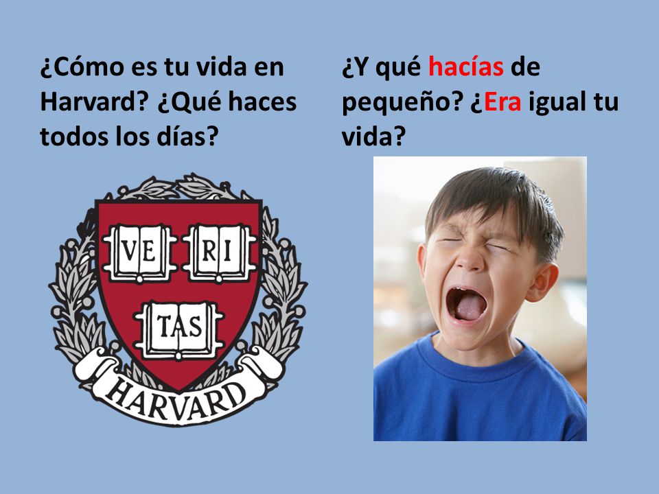 ¿Cómo es tu vida en Harvard ¿Qué haces todos los días