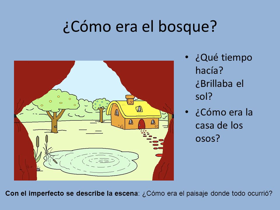 ¿Cómo era el bosque ¿Qué tiempo hacía ¿Brillaba el sol