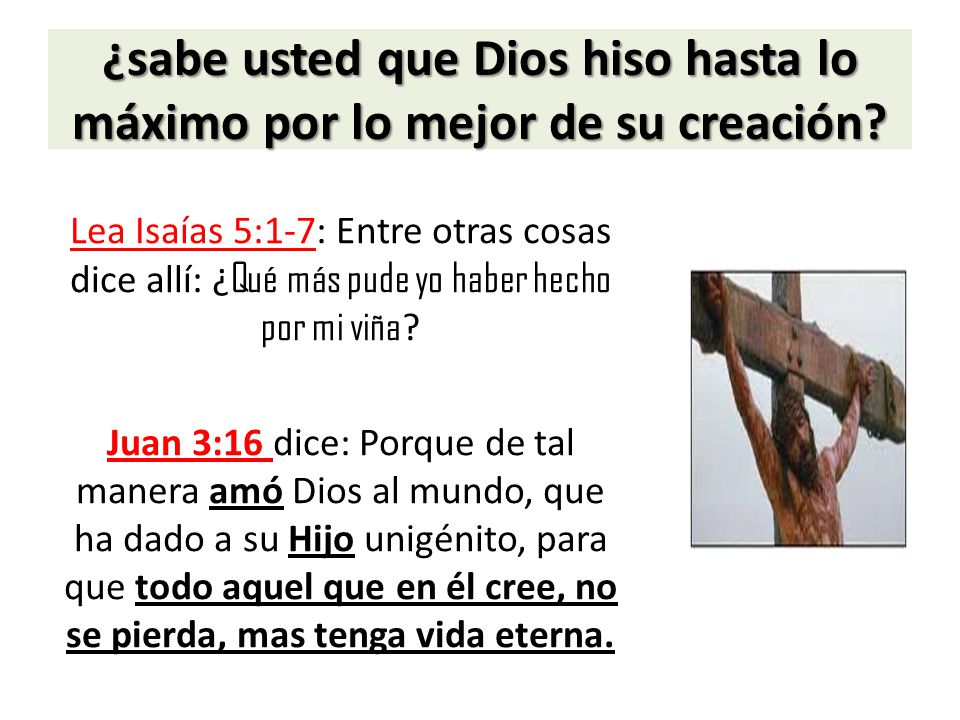 ¿sabe usted que Dios hiso hasta lo máximo por lo mejor de su creación
