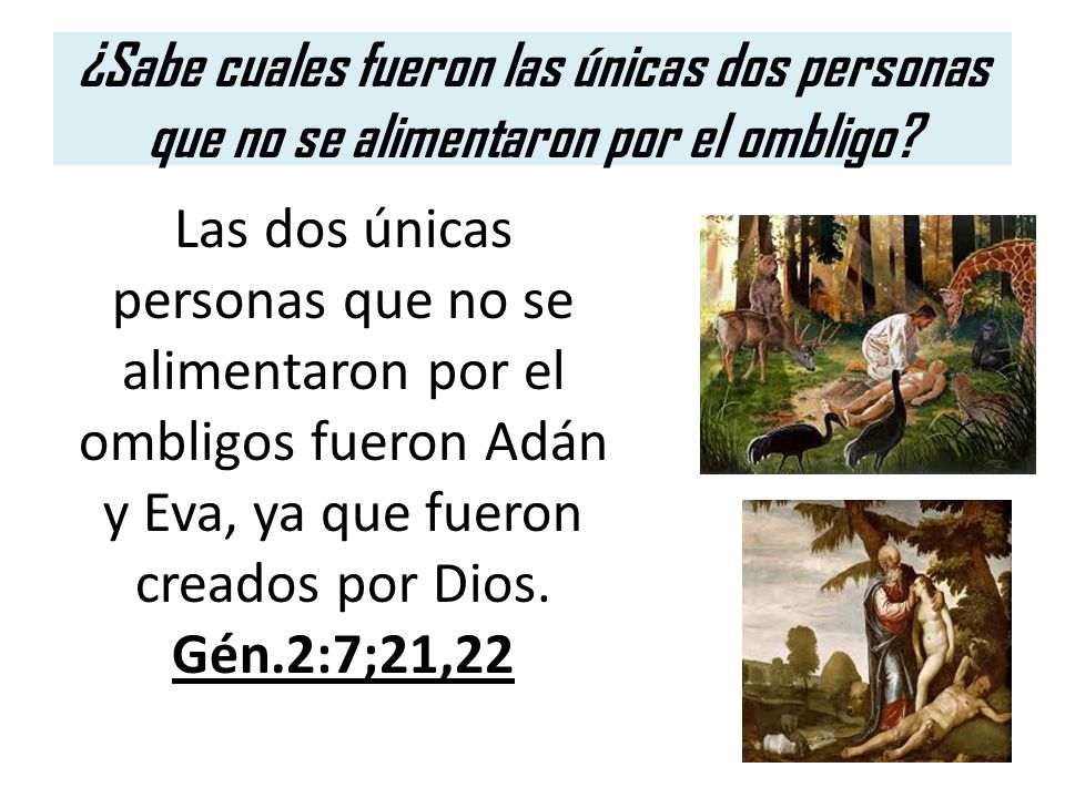 ¿Sabe cuales fueron las únicas dos personas que no se alimentaron por el ombligo