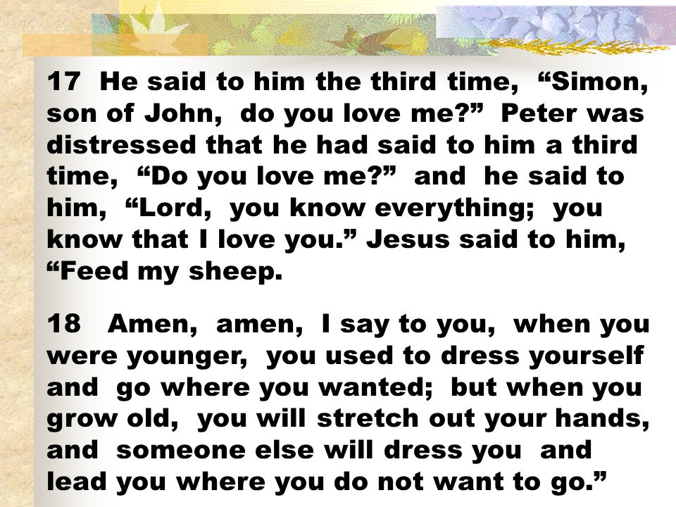 17 He said to him the third time, Simon, son of John, do you love me