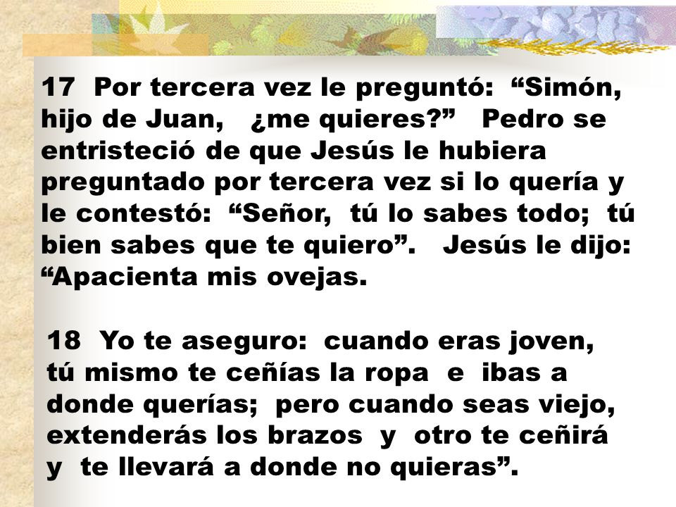 17 Por tercera vez le preguntó: Simón, hijo de Juan, ¿me quieres