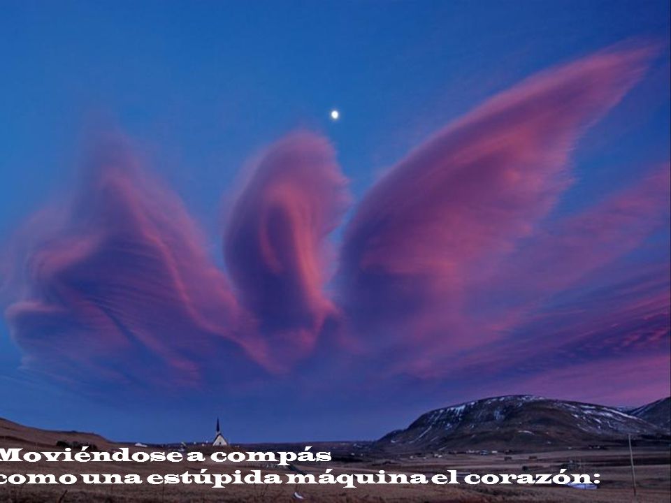Moviéndose a compás como una estúpida máquina el corazón: