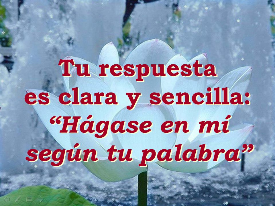 Tu respuesta es clara y sencilla: Hágase en mí según tu palabra