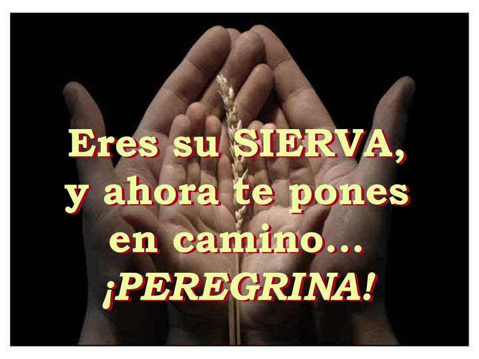 Eres su SIERVA, y ahora te pones en camino... ¡PEREGRINA!