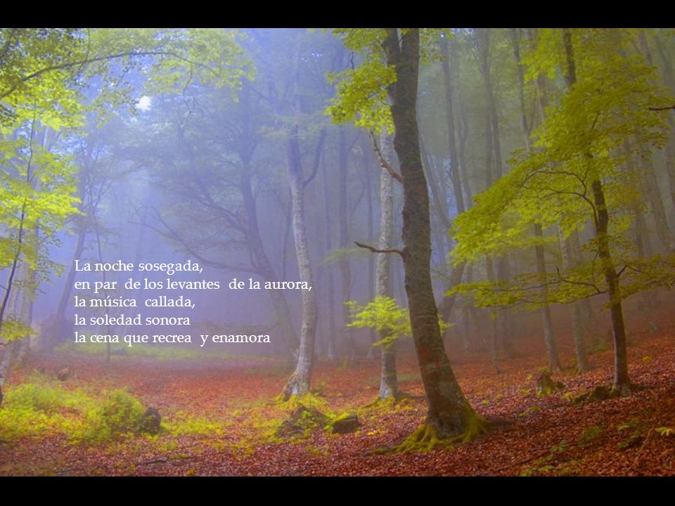 La noche sosegada, en par de los levantes de la aurora, la música callada, la soledad sonora.
