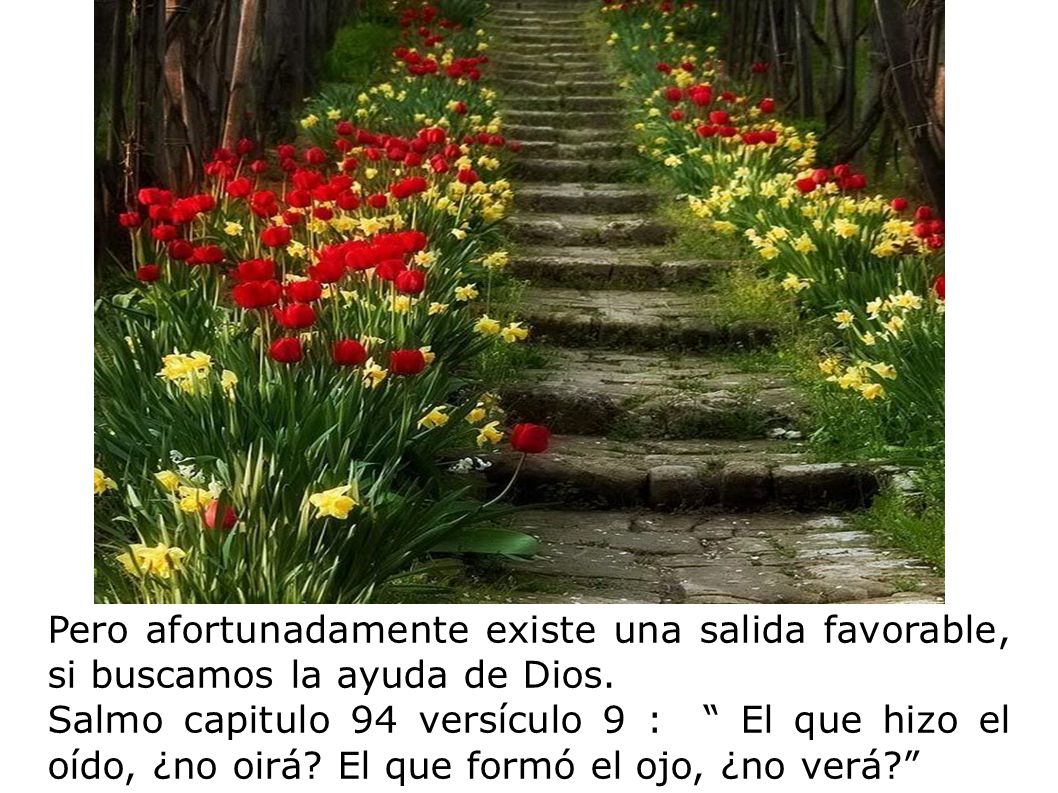 Pero afortunadamente existe una salida favorable, si buscamos la ayuda de Dios.