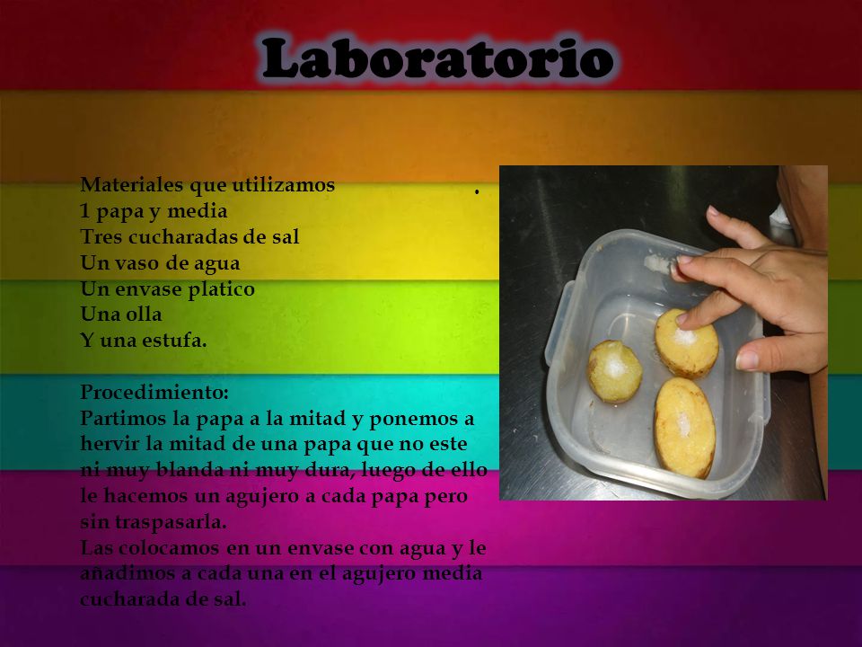 Laboratorio . Materiales que utilizamos 1 papa y media