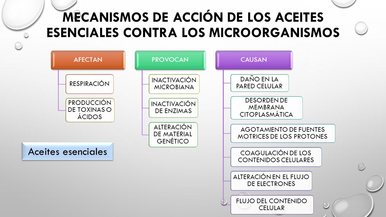 Mecanismos de acción de los aceites esenciales contra los microorganismos