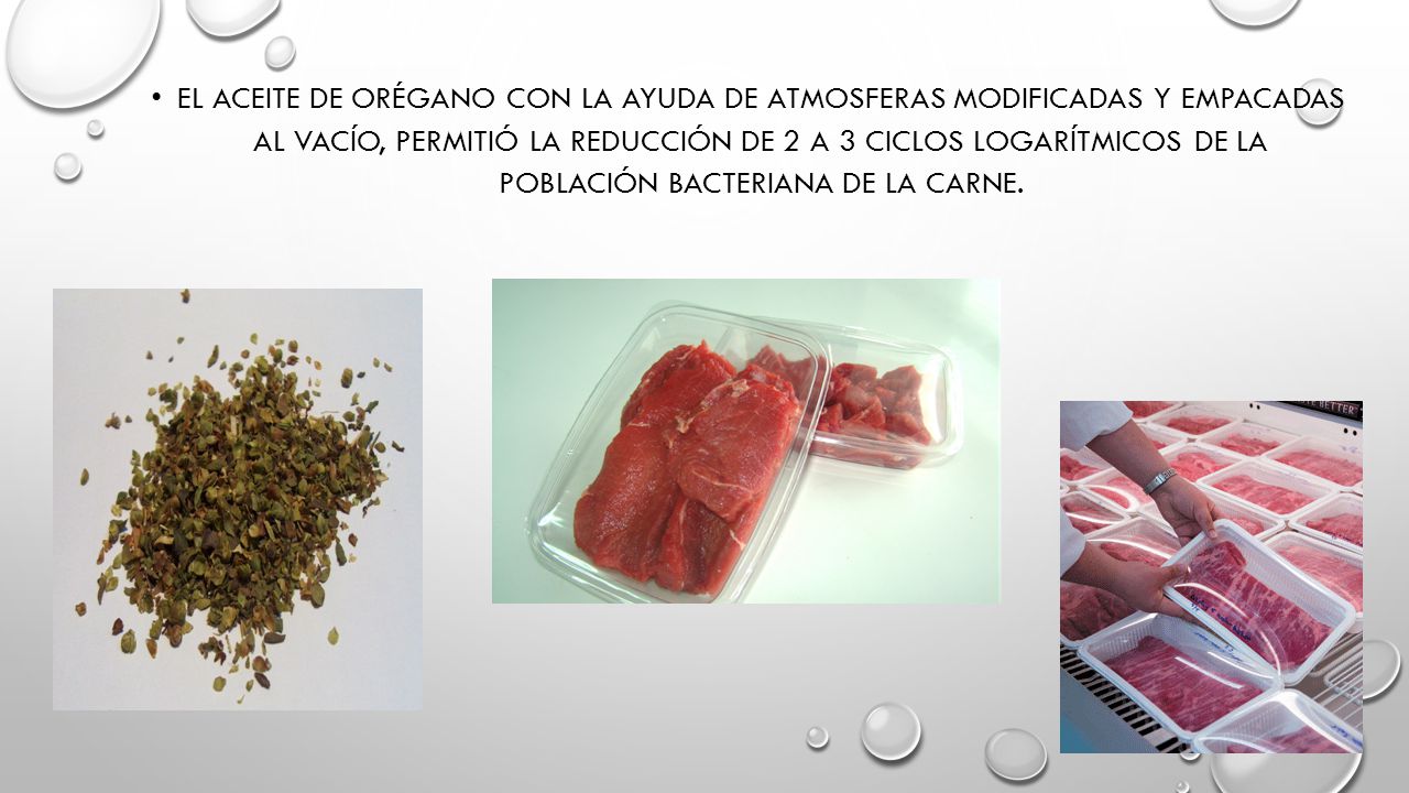 EL aceite de orégano con la ayuda de atmosferas modificadas y empacadas al vacío, permitió la reducción de 2 a 3 ciclos logarítmicos de la población bacteriana de la carne.