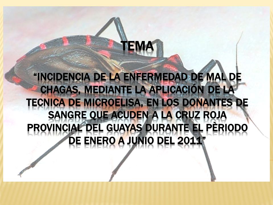 Tema incidencia de la ENFERMEDAd DE mal de CHAGAS, mediante la aplicación de LA TECNICA DE MICROeLISA, EN LOS DONANTES DE SANGRE QUE ACUDEN A LA CRUZ ROJA PROVINCIAL DEL GUAYAS DURANTE EL PÈRIODO DE ENERO A JUNIO DEL 2011