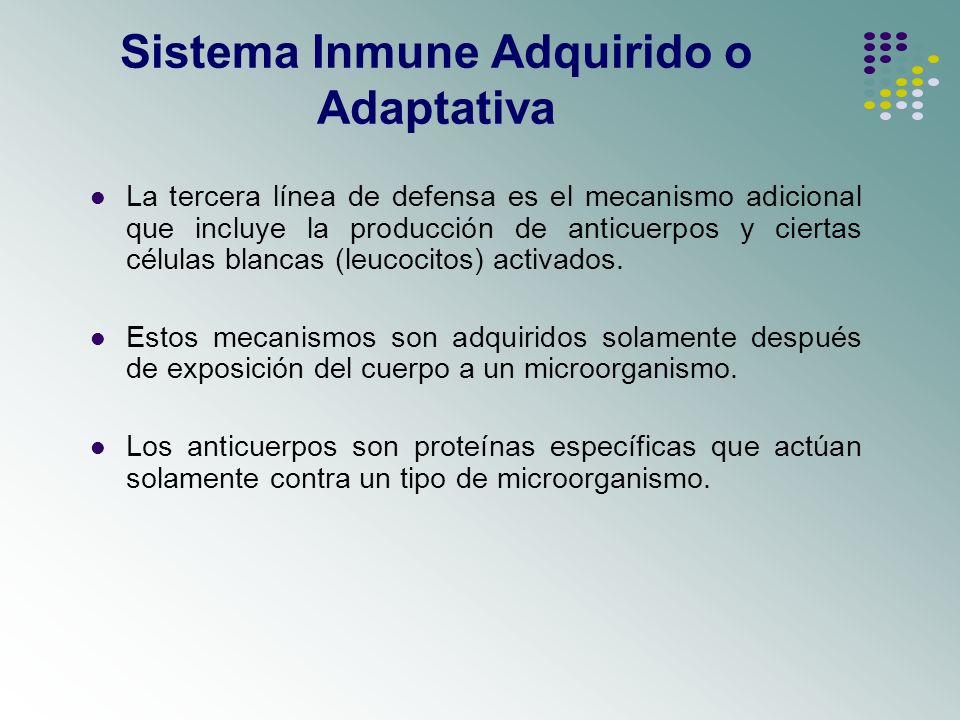 Sistema Inmune Adquirido o Adaptativa