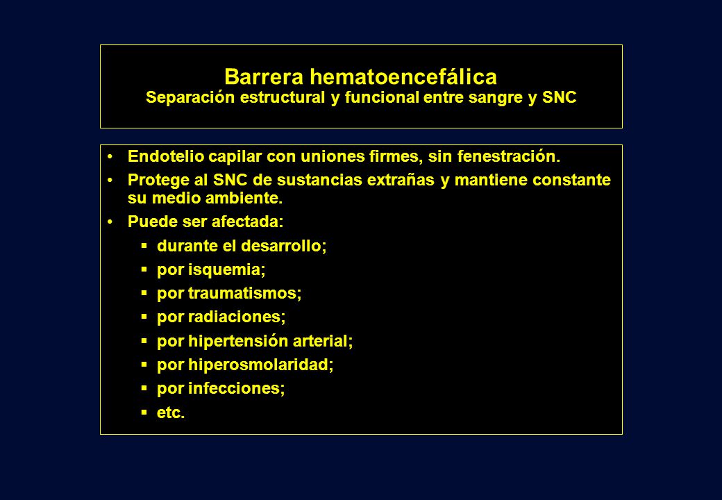 Barrera hematoencefálica Separación estructural y funcional entre sangre y SNC