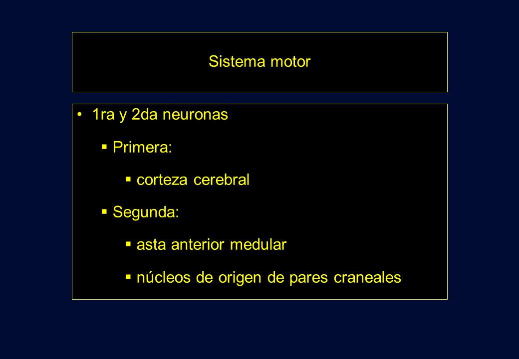 Sistema motor 1ra y 2da neuronas. Primera: corteza cerebral.