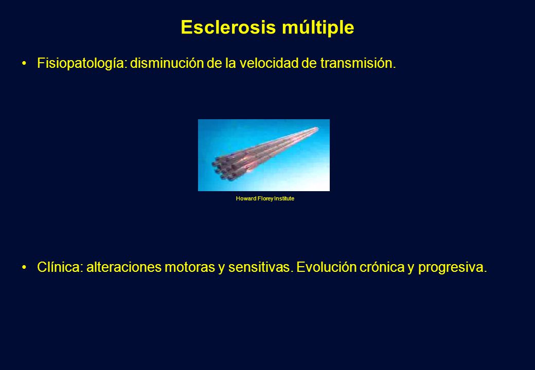 Esclerosis múltiple Fisiopatología: disminución de la velocidad de transmisión. Howard Florey Institute.