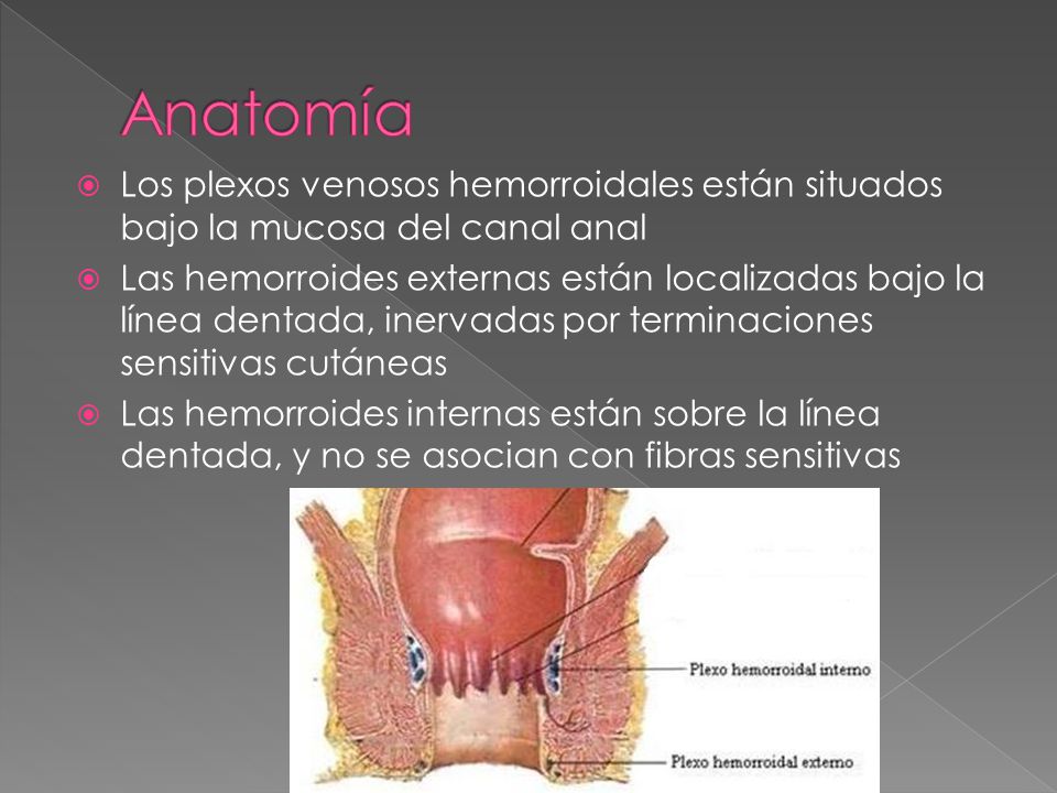 Anatomía Los plexos venosos hemorroidales están situados bajo la mucosa del canal anal.