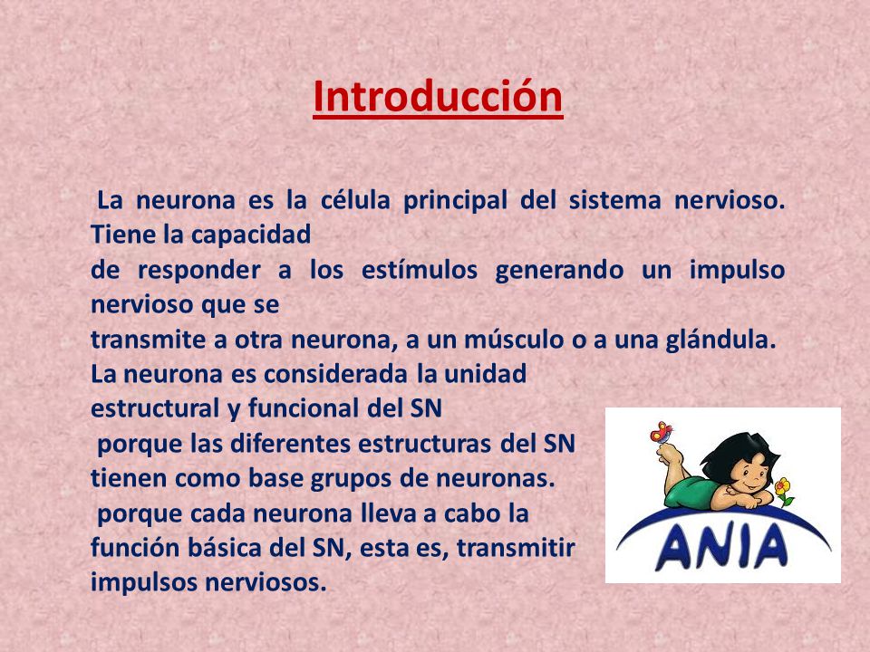 Introducción La neurona es la célula principal del sistema nervioso. Tiene la capacidad.