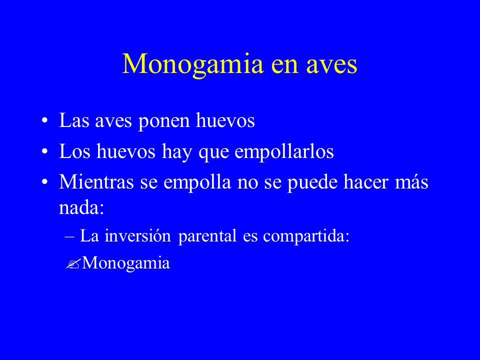 Monogamia en aves Las aves ponen huevos Los huevos hay que empollarlos