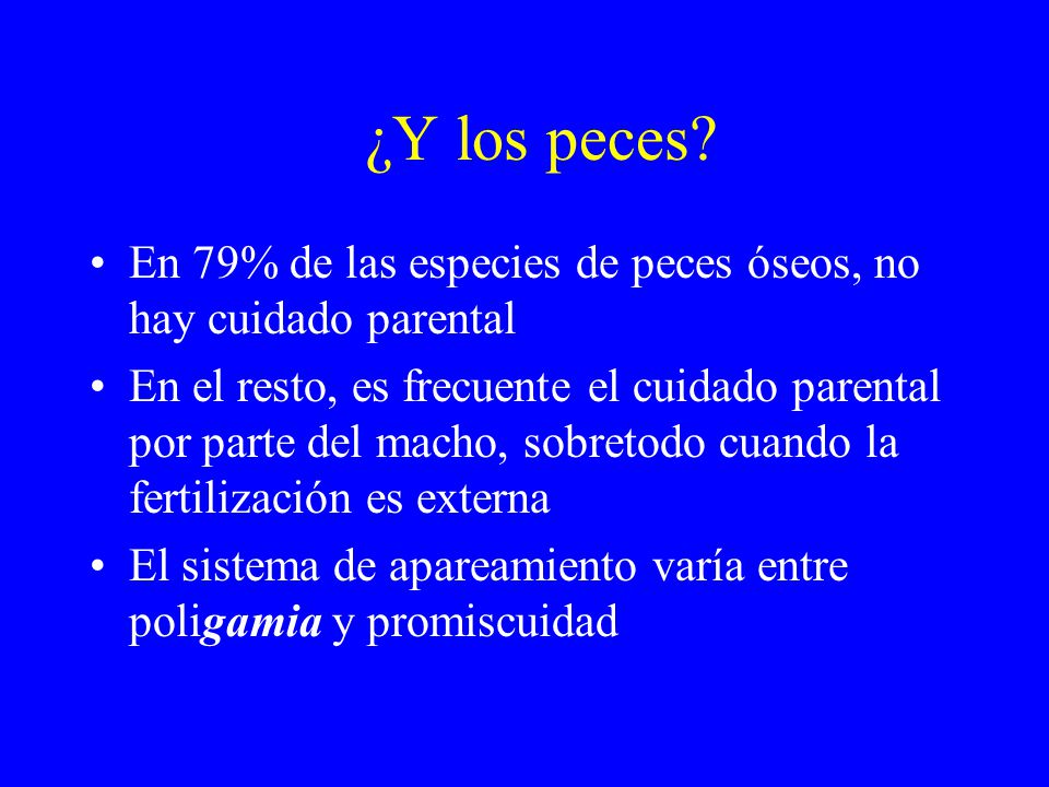 ¿Y los peces En 79% de las especies de peces óseos, no hay cuidado parental.