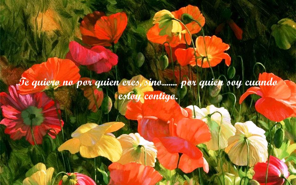 Te quiero no por quien eres, sino por quien soy cuando estoy contigo.