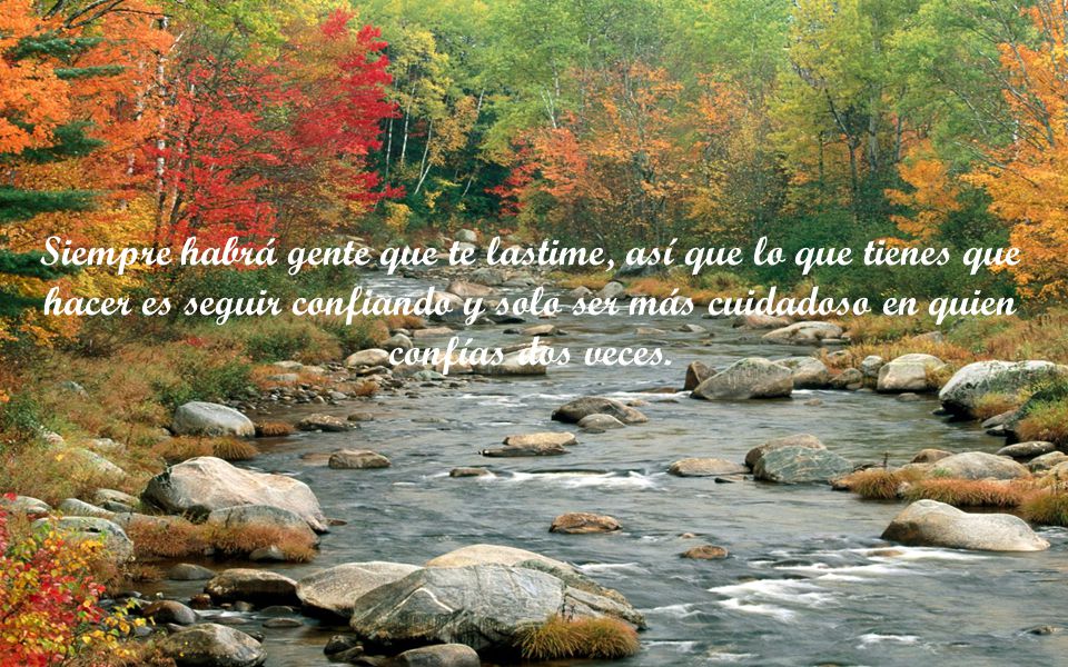 Siempre habrá gente que te lastime, así que lo que tienes que hacer es seguir confiando y solo ser más cuidadoso en quien confías dos veces.