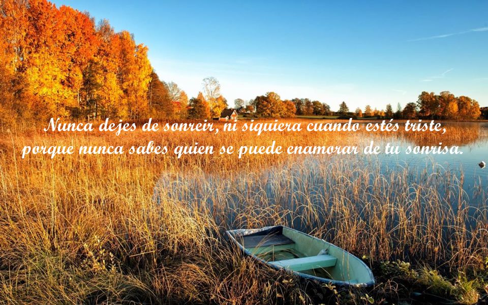 Nunca dejes de sonreir, ni siquiera cuando estés triste, porque nunca sabes quien se puede enamorar de tu sonrisa.