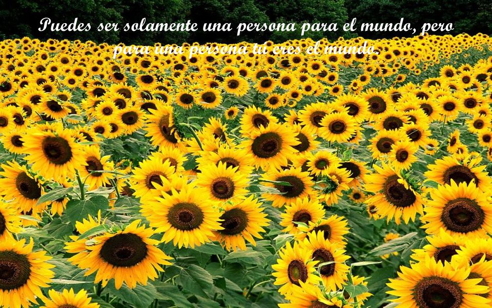 Puedes ser solamente una persona para el mundo, pero para una persona tú eres el mundo.