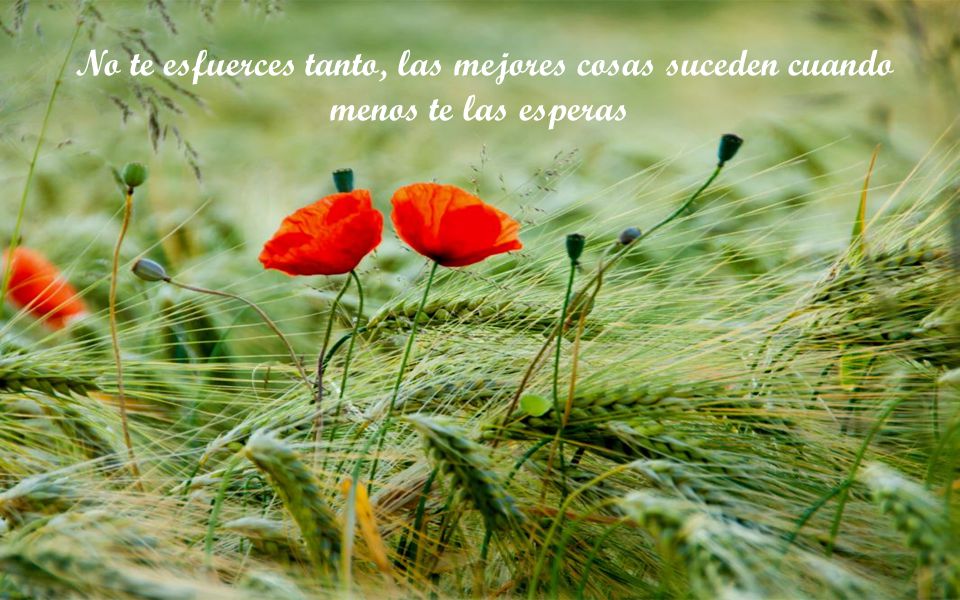 No te esfuerces tanto, las mejores cosas suceden cuando menos te las esperas
