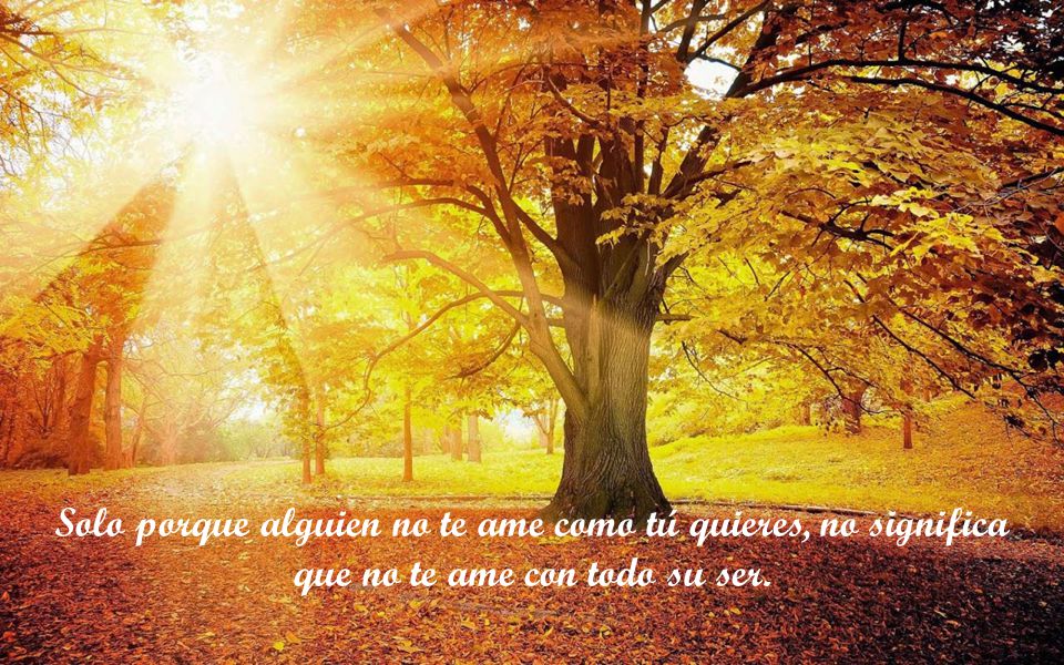 Solo porque alguien no te ame como tú quieres, no significa que no te ame con todo su ser.