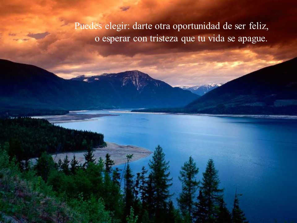 Puedes elegir: darte otra oportunidad de ser feliz,