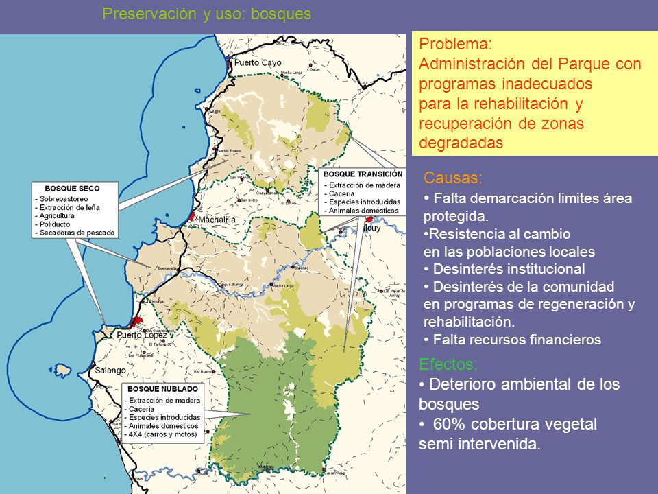 Preservación y uso: bosques