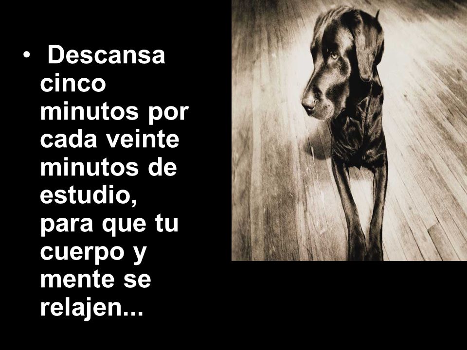Descansa cinco minutos por cada veinte minutos de estudio, para que tu cuerpo y mente se relajen...