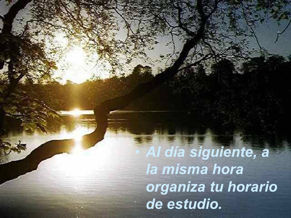 Al día siguiente, a la misma hora organiza tu horario de estudio.