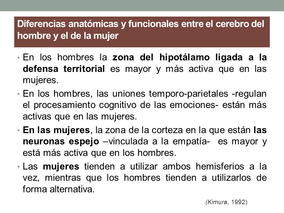 Diferencias anatómicas y funcionales entre el cerebro del hombre y el de la mujer