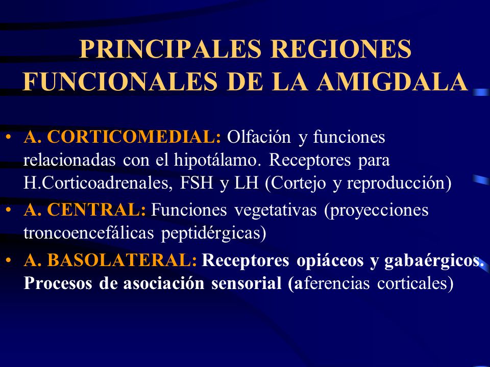 PRINCIPALES REGIONES FUNCIONALES DE LA AMIGDALA