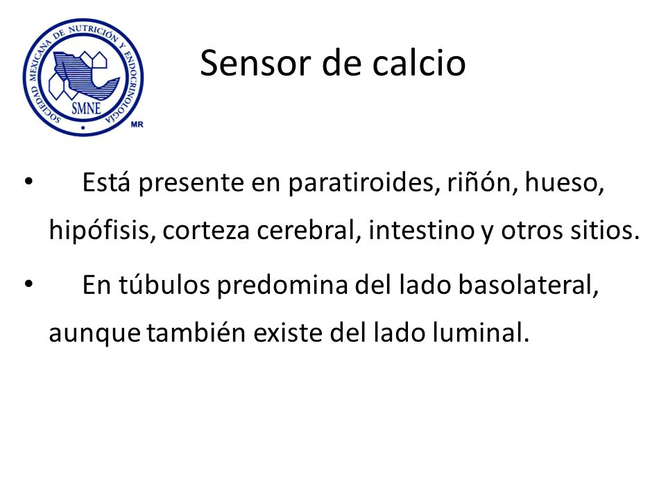 Sensor de calcio Está presente en paratiroides, riñón, hueso, hipófisis, corteza cerebral, intestino y otros sitios.